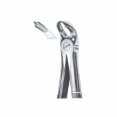 Extracting Forceps English Patern